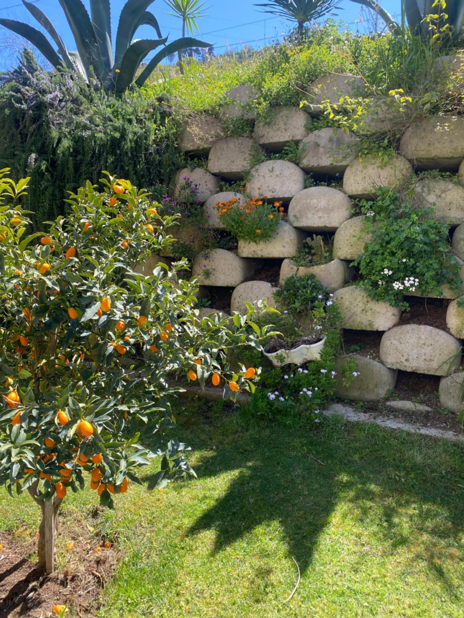 Residenza Roma Bed & Breakfast Tropea Exterior photo